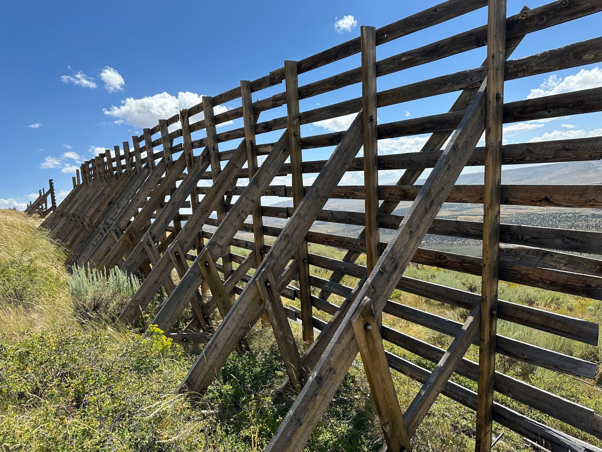 Wooden Guardians of a Barren Land